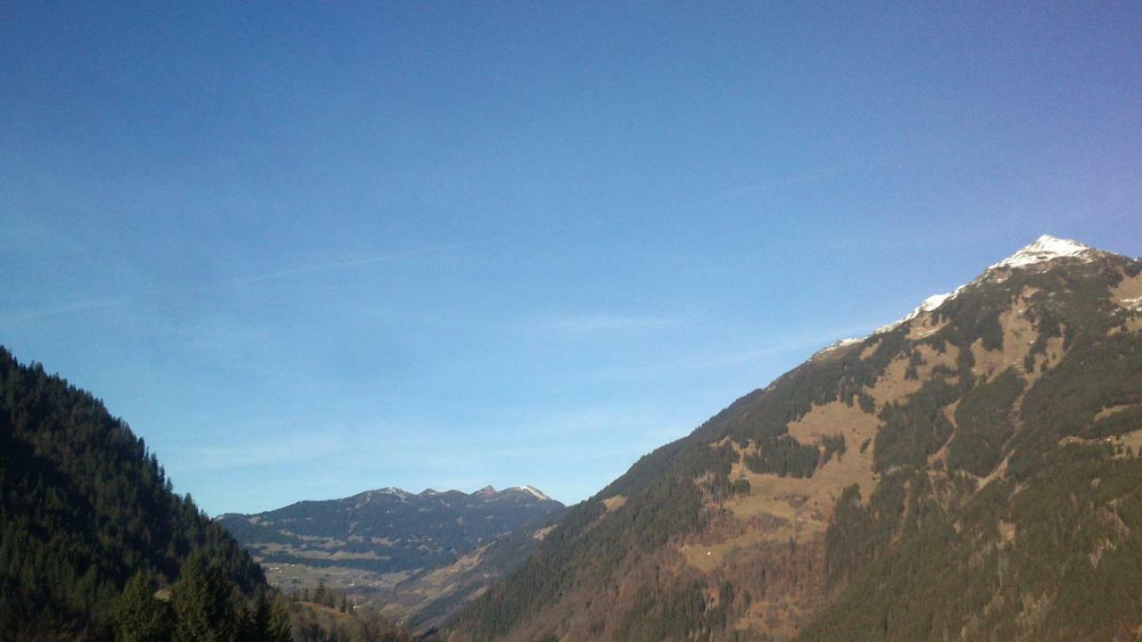 Neuberg Alm Sankt Gallenkirch Exterior foto